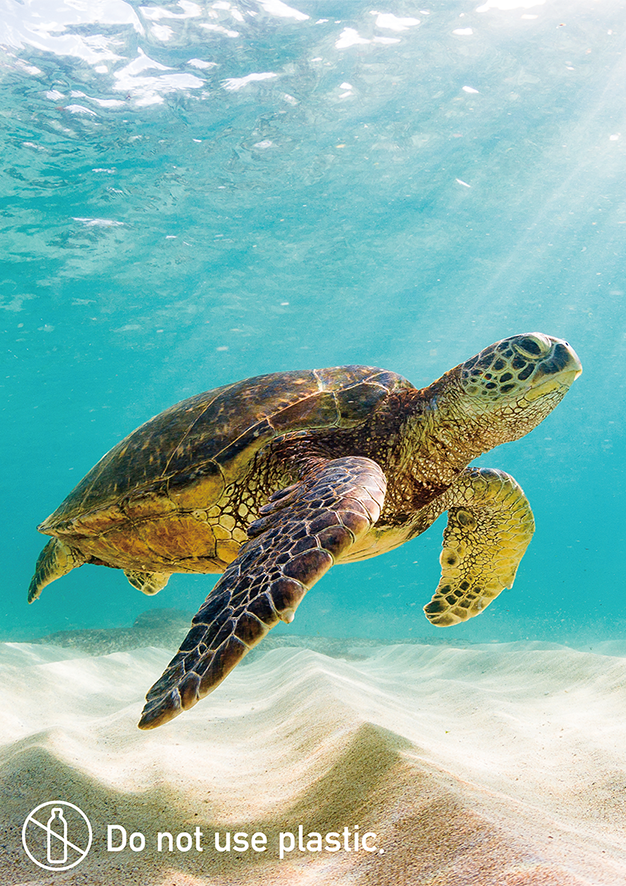 無料エコポスター