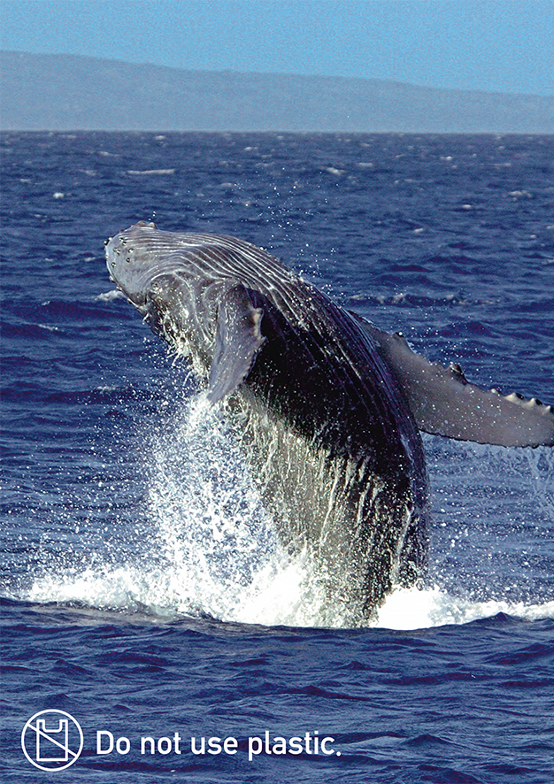 無料エコポスター