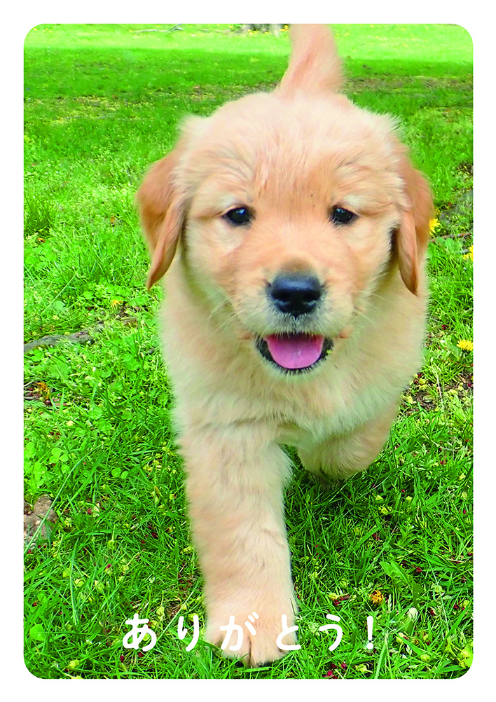 ありがとうポスター