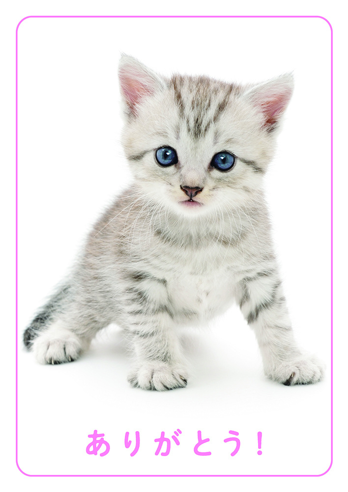 ありがとうポスター