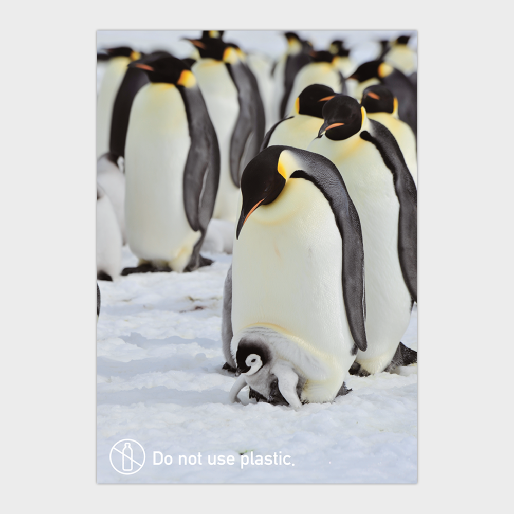 環境啓蒙ポスターデザイン