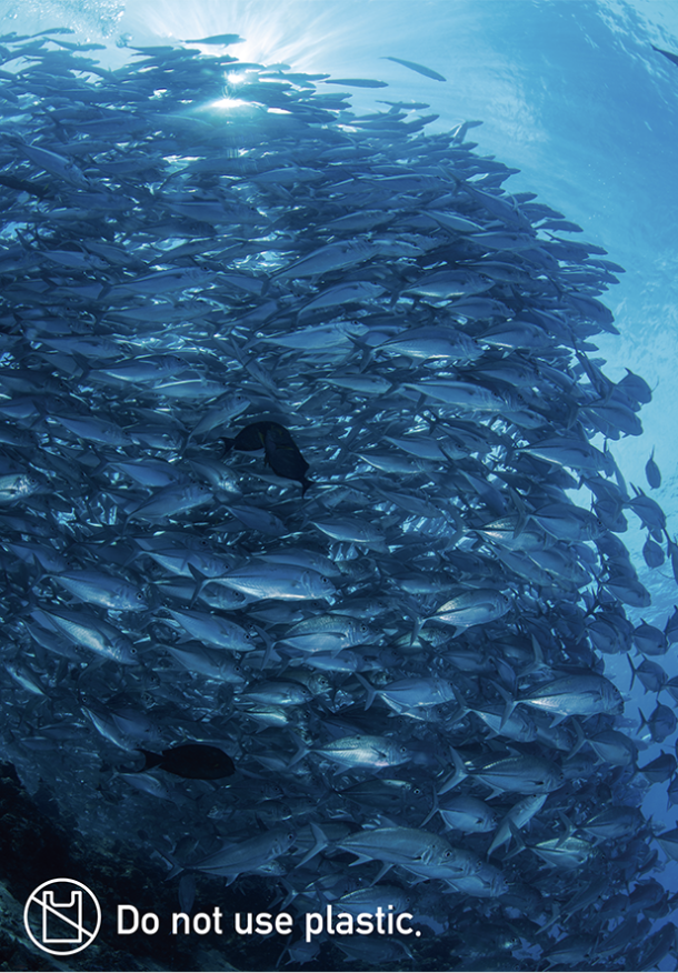 無料エコポスター